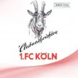 Clubnachrichten 1. FC Köln 1953