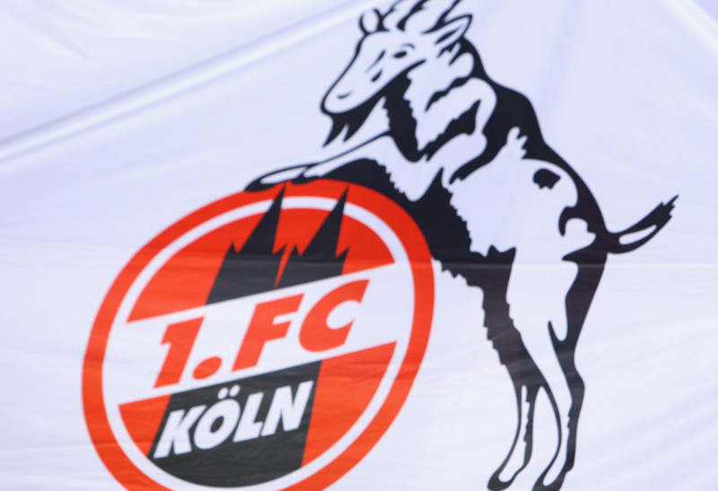 COLOGNE, GERMANY - SEPTEMBER 26: A young Koeln fan is seen prior to the Bundesliga match between 1. FC Koeln and FC Schalke 04 at the RheinEnergie stadium on September 26, 2008 in Cologne, Germany. (Photo by Vladimir Rys/Bongarts/Getty Images)