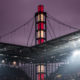 COLOGNE, GERMANY - DECEMBER 10: General view of the stadium during the Bundesliga match between 1. FC Koeln and Borussia Dortmund at RheinEnergieStadion on December 10, 2016 in Cologne, Germany. (Photo by Lukas Schulze/Bongarts/Getty Images)