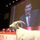 COLOGNE, GERMANY - APRIL 23: Werner Wolf, chairman of the administrative board leads the the extraordinary general meeting of 1. FC Koeln at LANXESS Arena on April 23, 2012 in Cologne, Germany. (Photo by Christof Koepsel/Bongarts/Getty Images)